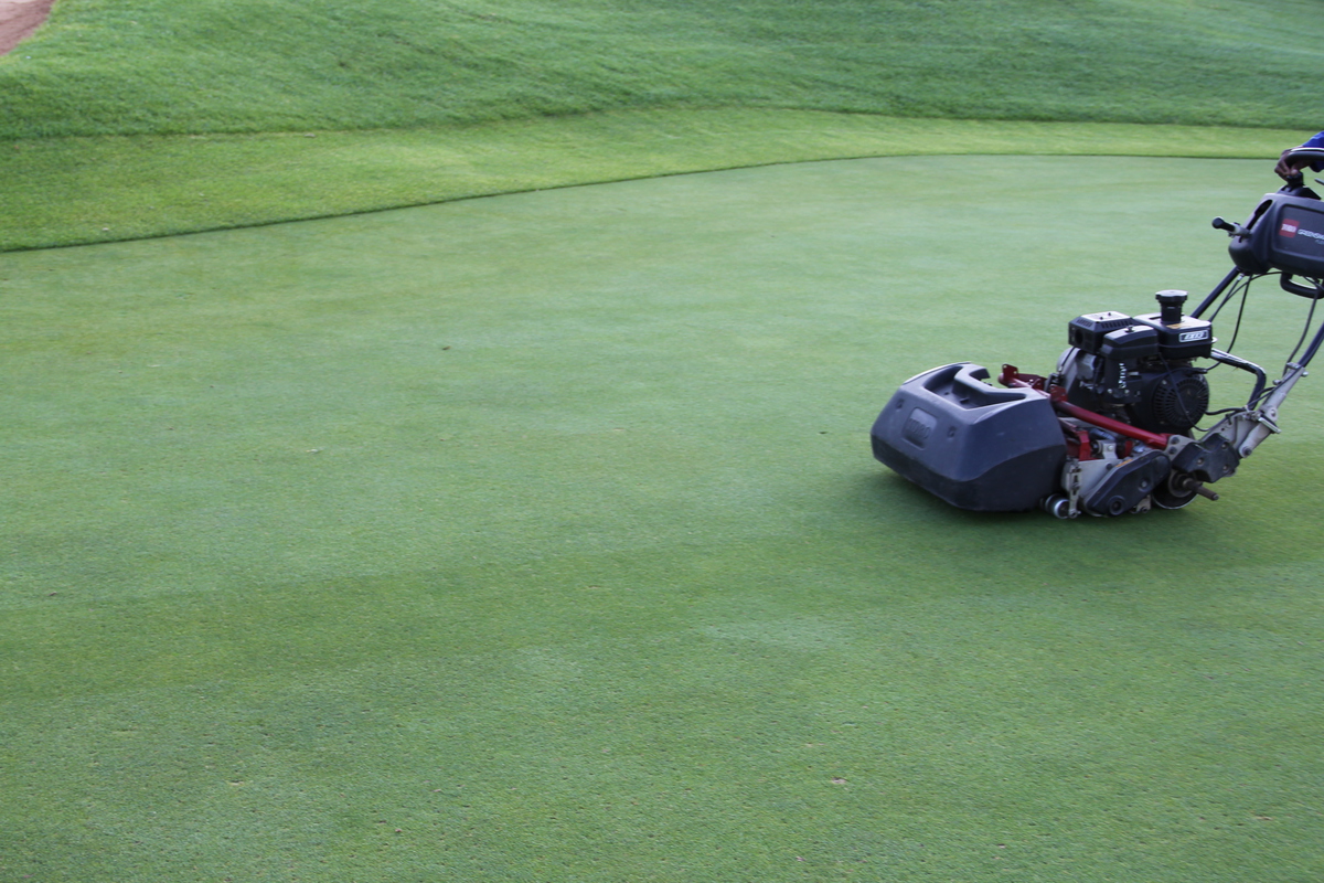 A perfect cut with our patented Reversible Bottom Blade