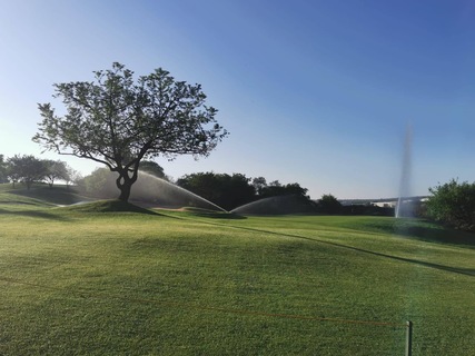 Golf and Turf